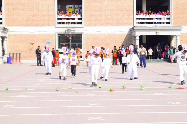School Gallery