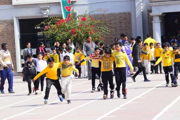 School Gallery