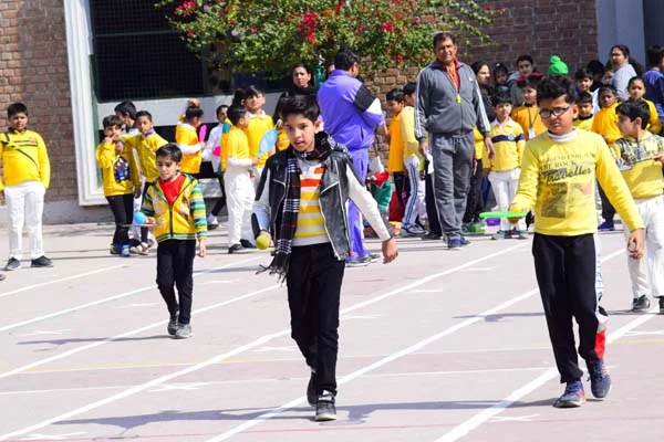 School Gallery