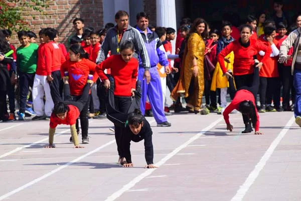School Gallery