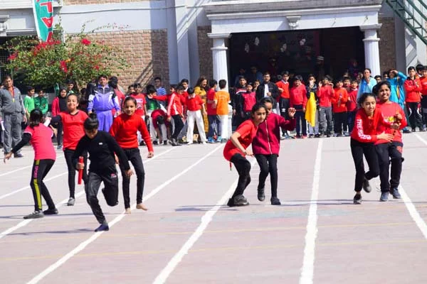 School Gallery