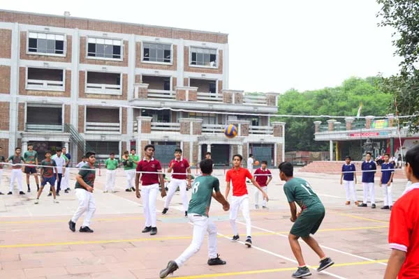 School Gallery