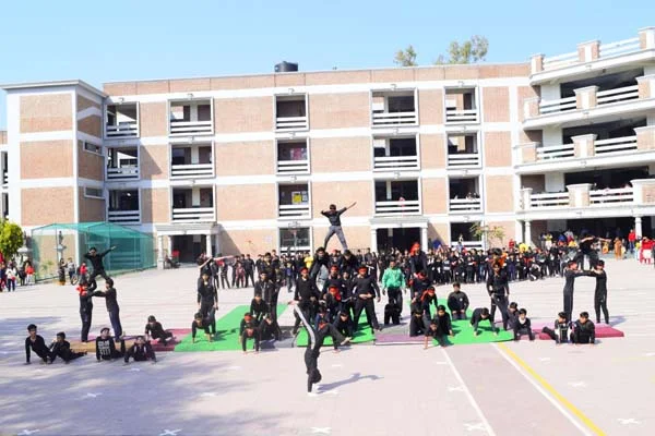 School Gallery
