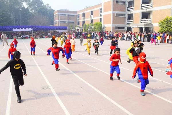School Gallery