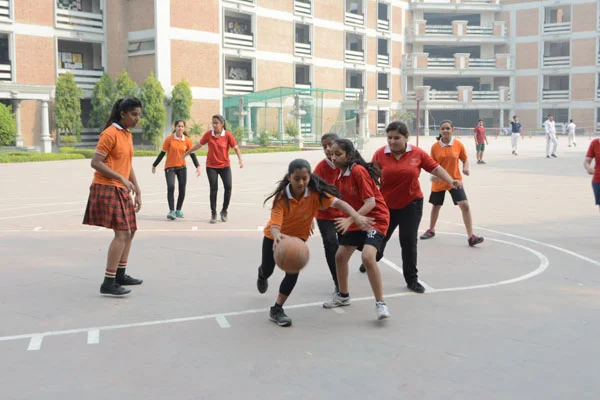 School Gallery