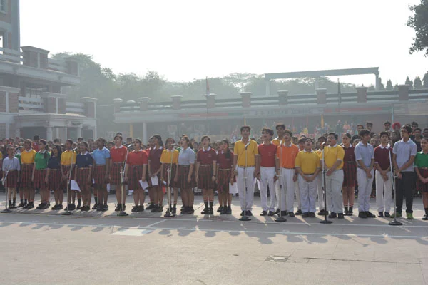 School Gallery