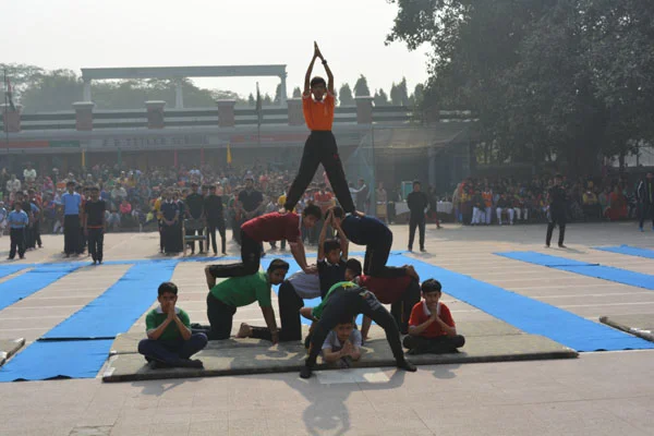 School Gallery