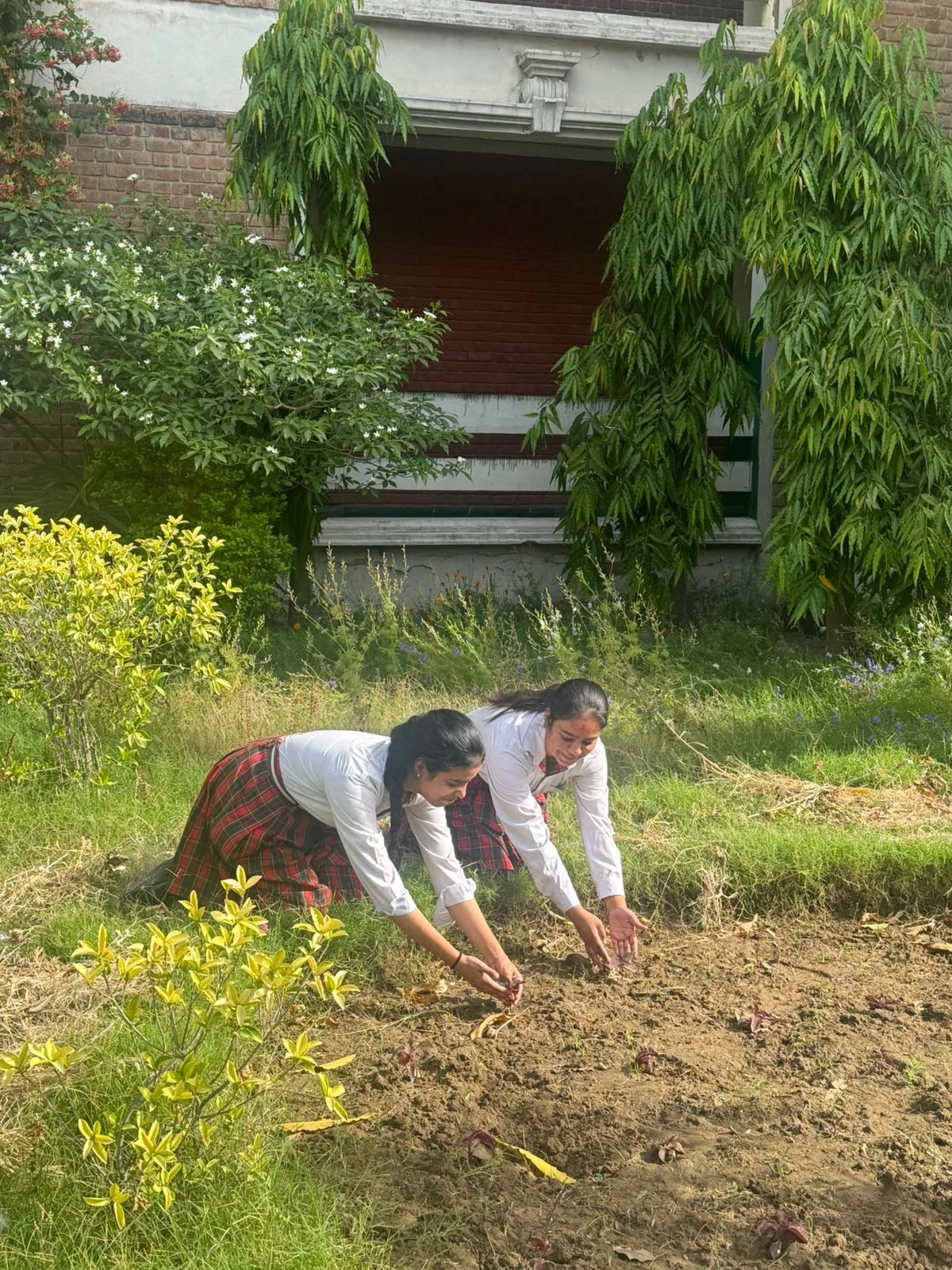 Mega Plantation Drive April and May 2026